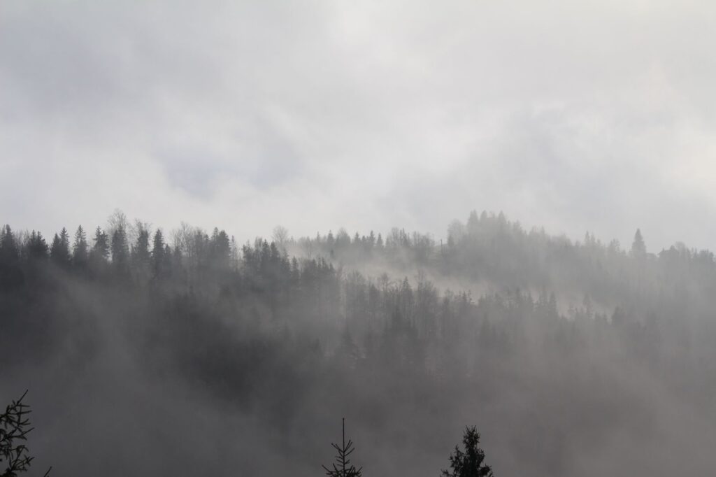 Przebranie