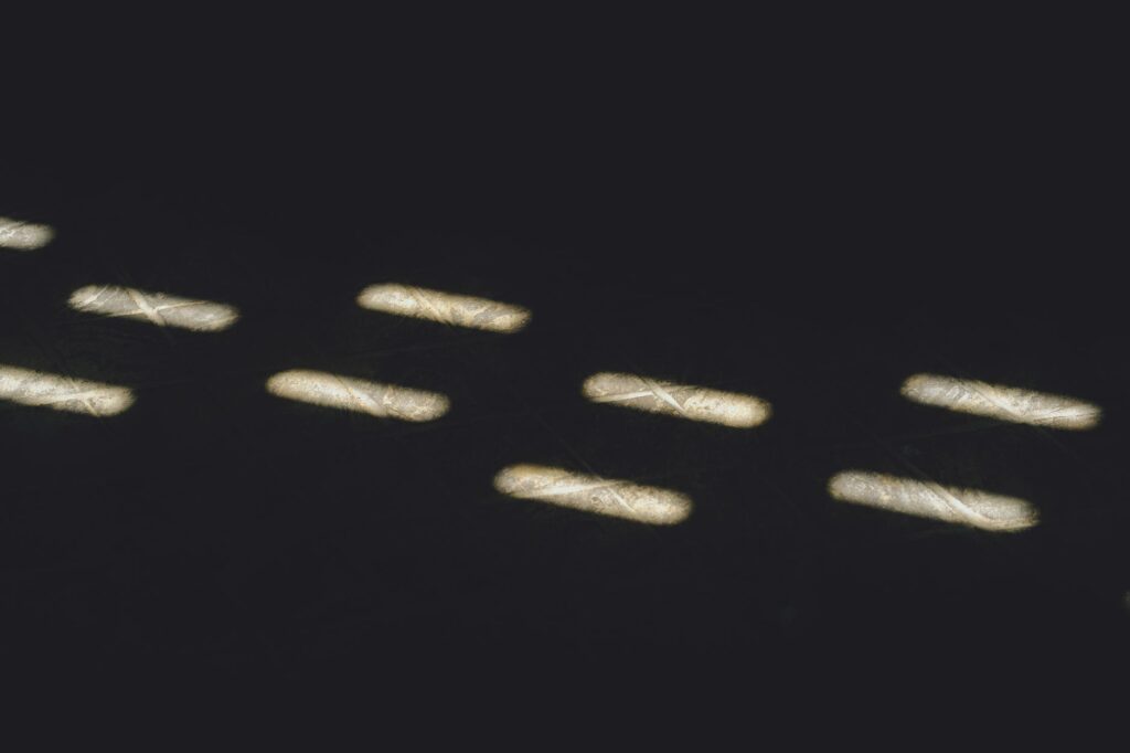 Ślepota/Głuchota