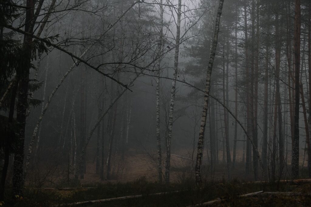 Olbrzymi ognisty chrząszcz