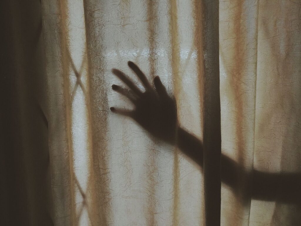 łasica