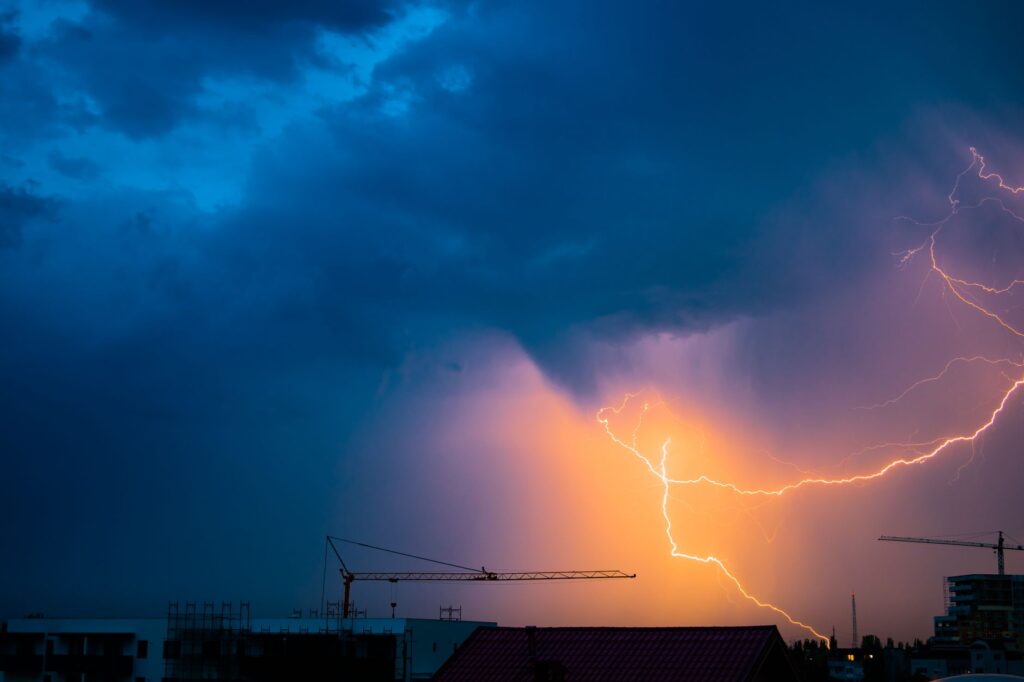 Zlokalizuj zwierzęta lub rośliny