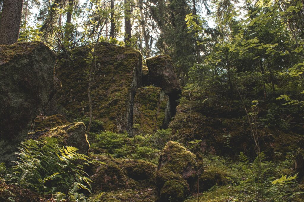 Mikstura trucizny