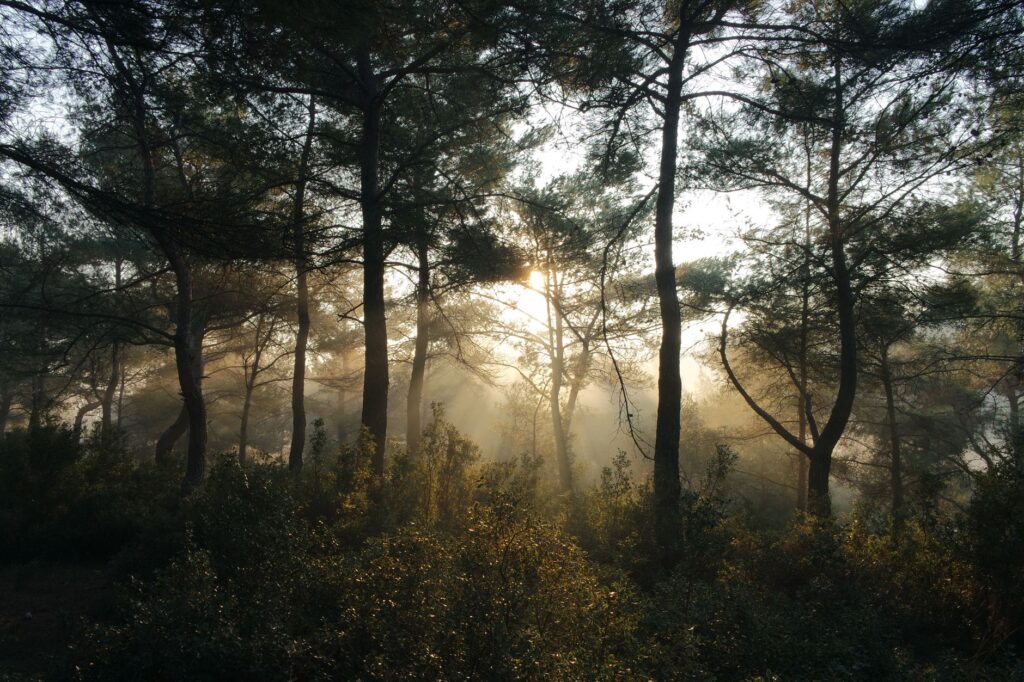 Zadający ból