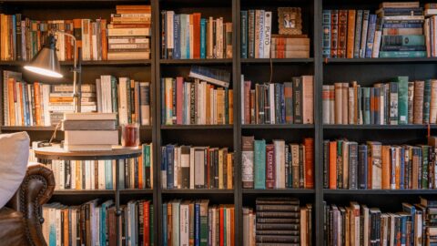 Społeczność ocenia zainteresowanie nowościami D&D