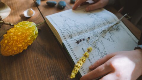 Critical Codex DELUXE na Kickstarterze – efektowne krytyki do D&D